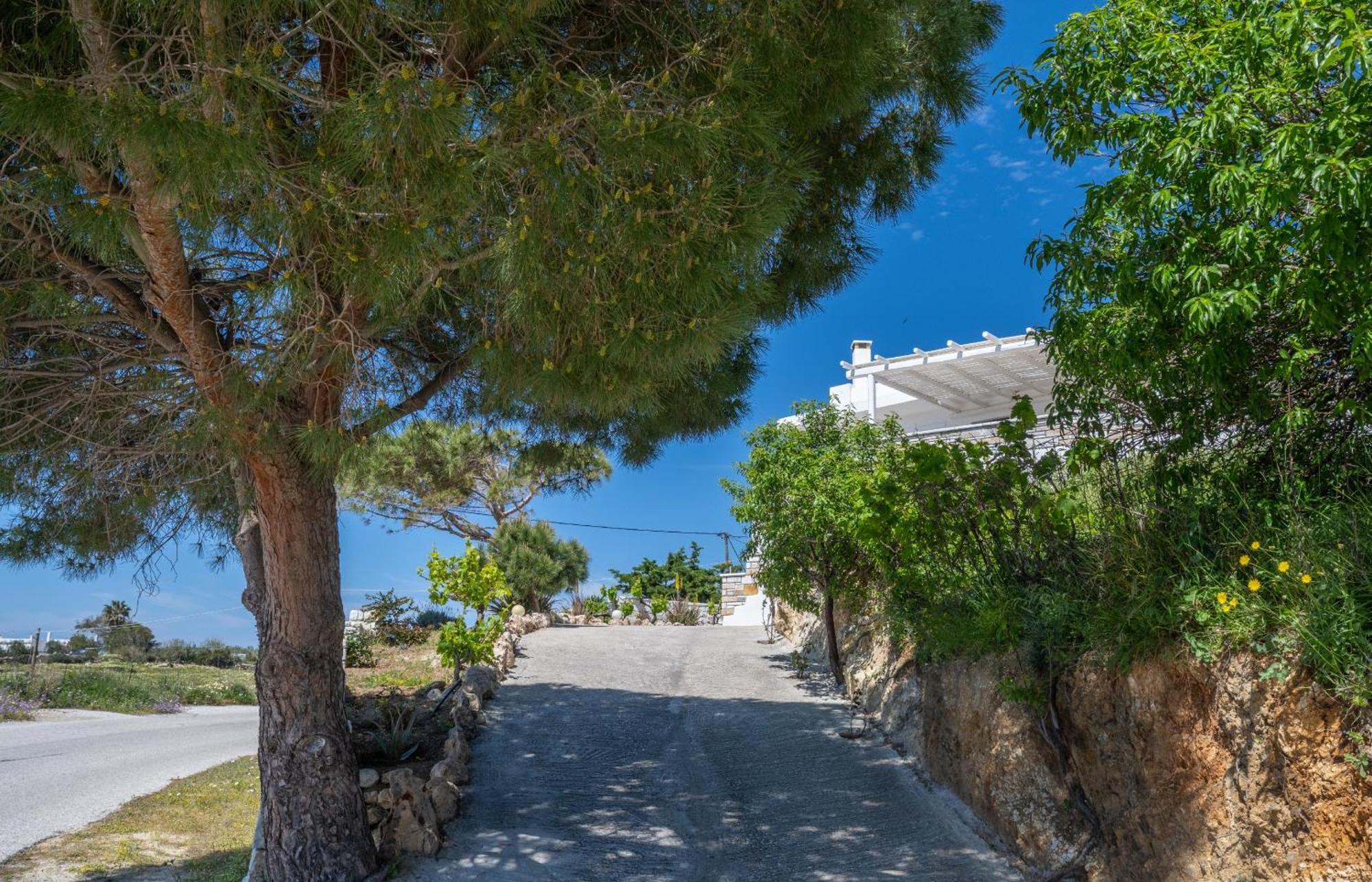 'Sophie'S Villa' Akrotiri  Eksteriør billede